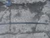 DSC05279.JPG