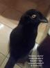 IMG-20181031-WA0001.jpg