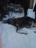 DSC03280.JPG