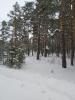 IMG-20191229-WA0010.jpg