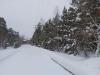 IMG-20191229-WA0007.jpg
