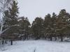 IMG-20191229-WA0009.jpg