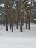 IMG-20191229-WA0011.jpg
