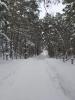 IMG-20191229-WA0008.jpg