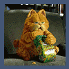 photo-thumb-2147.gif?_r=0